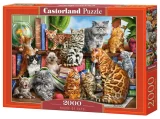 Castorland Puzzle Mačací dom 2000 dielikov