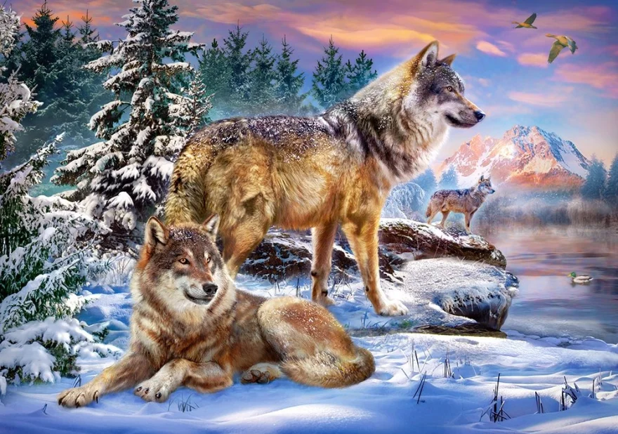 Castorland Puzzle Vlčia ríša divov 500 dielikov