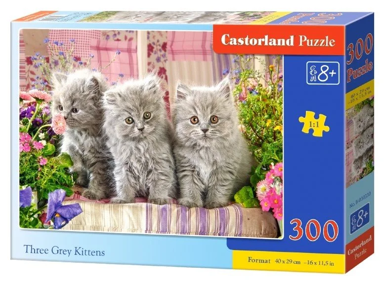 Castorland Puzzle Tri sivé mačiatka 300 dielikov