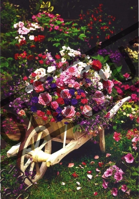 puzzle-zahradni-kvetiny-260-dilku-51304.jpg