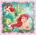 puzzle-disney-princezny-se-zvirecimi-prateli-3v1-203650-dilku-51546.jpg