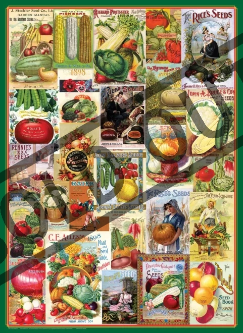 puzzle-katalog-seminek-zelenina-1000-dilku-170291.jpg