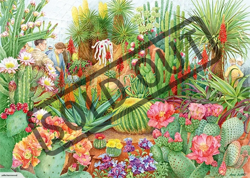 puzzle-kvetinova-vystava-poustni-kvetiny-1000-dilku-94506.jpg