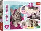 puzzle-kotata-160-dilku-95614.jpg