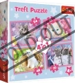 puzzle-hrava-kotata-4v1-35485470-dilku-95658.jpg