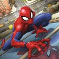 puzzle-spiderman-3x49-dilku-95957.jpg