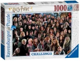 puzzle-challenge-harry-potter-1000-dilku-99819.jpg