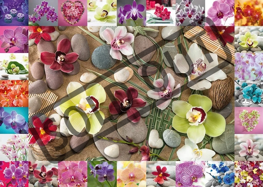 puzzle-orchideje-1000-dilku-100532.jpg