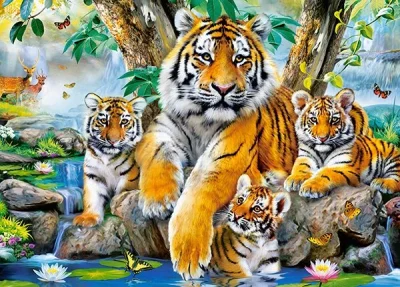 Puzzle Tygři u řeky 120 dílků