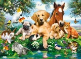 Castorland Puzzle Letní priatelia 200 dielikov
