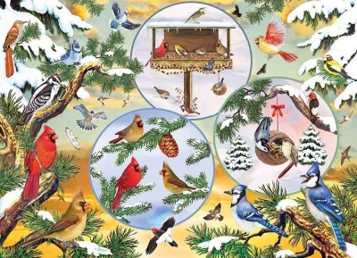 Puzzle Kouzlo ptáčků v zimě 500 dílků