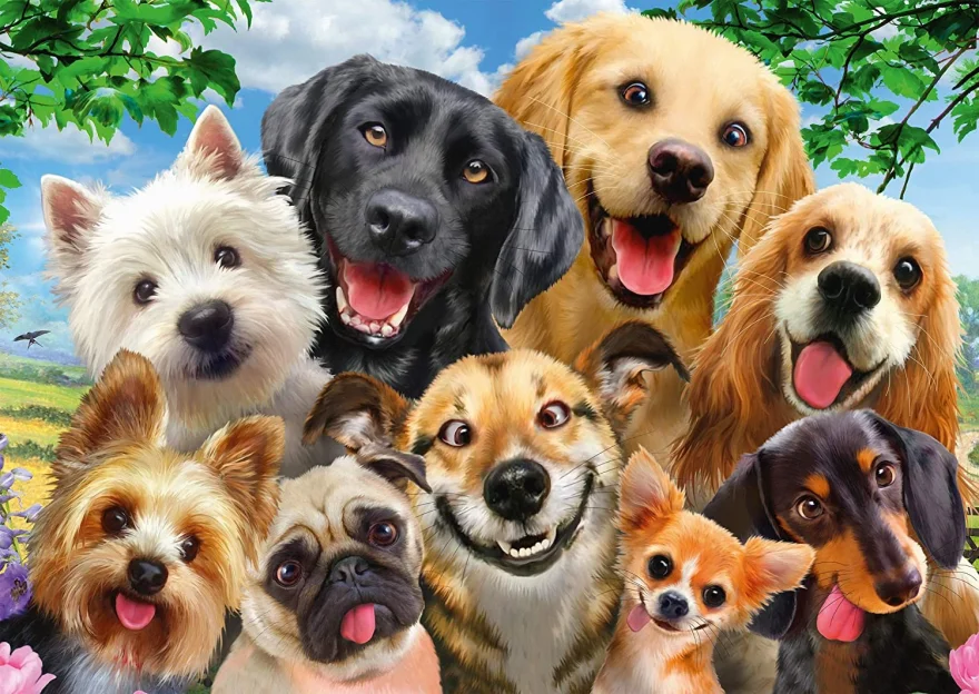 Schmidt Puzzle Psie selfie 500 dielikov