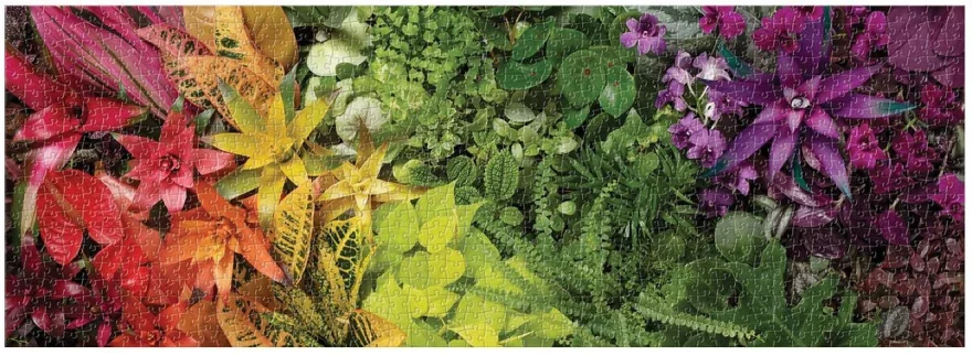 panoramaticke-puzzle-zivot-rostlin-1000-dilku-119444.jpg