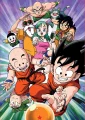 puzzle-dragon-ball-200-dilku-124984.jpg