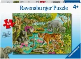 puzzle-zvirata-z-dzungle-60-dilku-129165.JPG