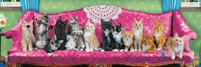 Panoramatické puzzle Kočky na kočičí pohovce 1000 dílků