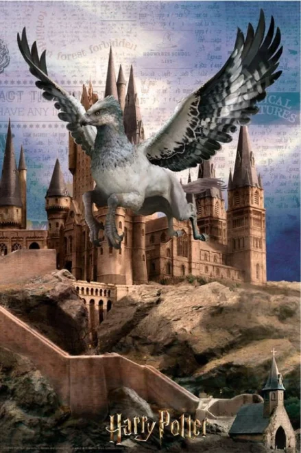 puzzle-harry-potter-klofan-3d-300-dilku-144895.JPG