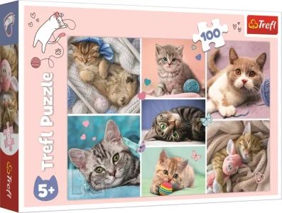 Puzzle V kočičím světě 100 dílků