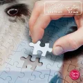 puzzle-pratele-naporad-1000-dilku-233713.jpg