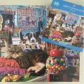 puzzle-starozitnictvi-v-opatstvi-1000-dilku-152776.jpg