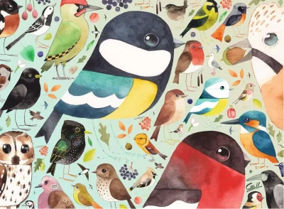 Puzzle Britští ptáci 500 dílků