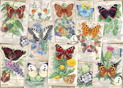 Puzzle Motýlí nádhera 1000 dílků