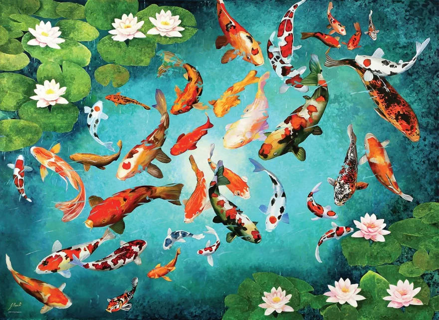 EUROGRAPHICS Puzzle Koi kapry 1000 dielikov