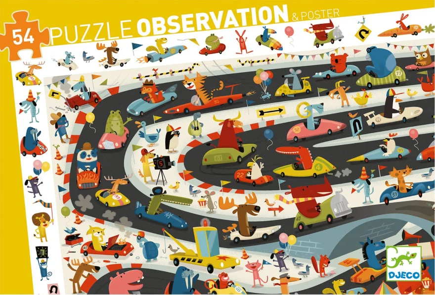 puzzle-observation-rallye-54-dilku-160189.jpg
