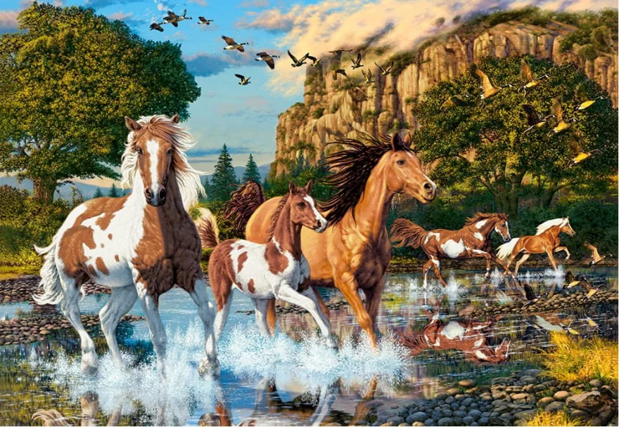 Castorland Puzzle Konská ríša divov 1000 dielikov