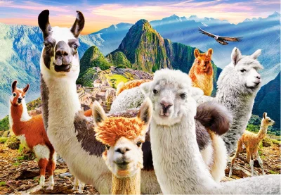 Puzzle Selfie lam na Macchu Picchu 1000 dílků