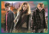 Trefl Puzzle Harry Potter MEGA PACK 10v1