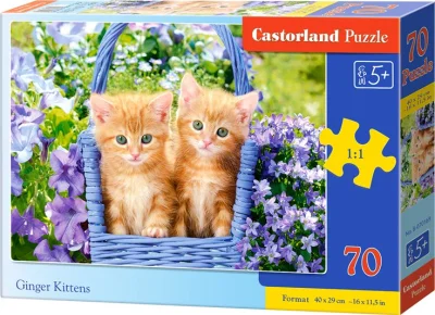 Puzzle Castorland 70 dielikov Ryšavé mačiatka