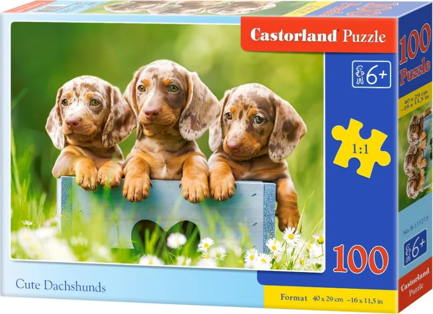 Castorland Puzzle Roztomilé jazvečíky 100 dielikov
