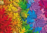 puzzle-barevne-listi-1500-dilku-167397.jpg