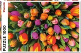 puzzle-tulipany-1000-dilku-167770.jpg
