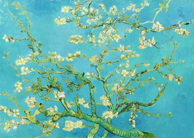 Puzzle Vincent Van Gogh: Větev mandlovníku 1000 dílků