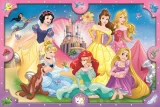 puzzle-disney-princezny-ruzovy-svet-princezen-xl-160-dilku-173172.jpg