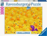 puzzle-challenge-kacenky-1000-dilku-173527.jpg