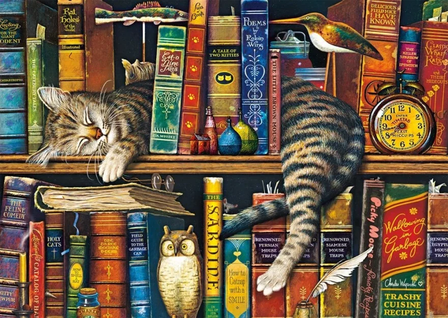 Schmidt Puzzle Frederick gramotný 1000 dielikov