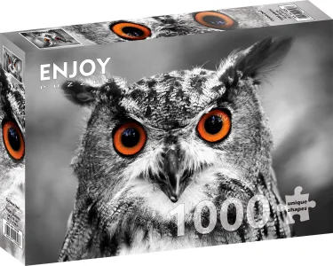 Puzzle Zvedavá sova 1000 dielikov