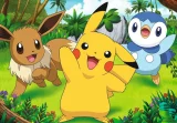 puzzle-pokemon-2x24-dilku-176804.jpg