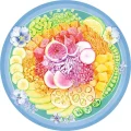 kruhove-puzzle-poke-bowl-500-dilku-183455.jpg