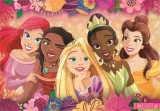 puzzle-disney-princezny-maxi-24-dilku-185443.jpg