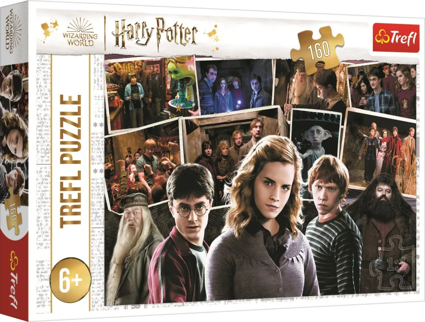 puzzle-harry-potter-s-prateli-160-dilku-189868.jpg