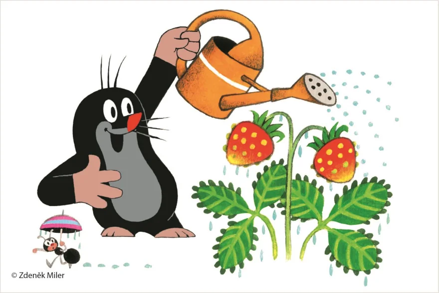Dino Obrázkové kocky Krtko, 6 kociek