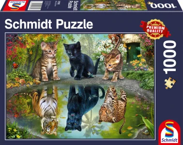 Puzzle Snívať vo veľkom 1000 dielikov