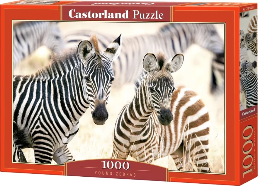 Castorland Puzzle Mladé zebry 1000 dielikov