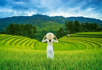 Puzzle Rýžová pole ve Vietnamu 1000 dílků