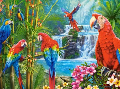 Puzzle Setkání papoušků 2000 dílků