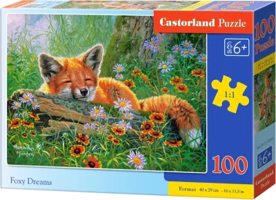 Puzzle Liščí snění 100 dílků
